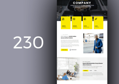 company-31-230