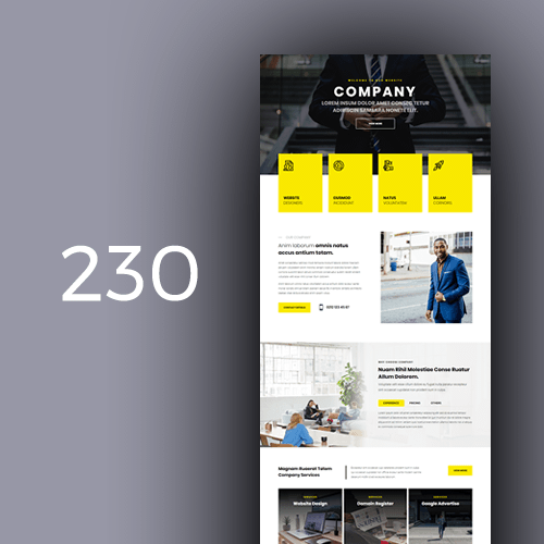 company-31-230
