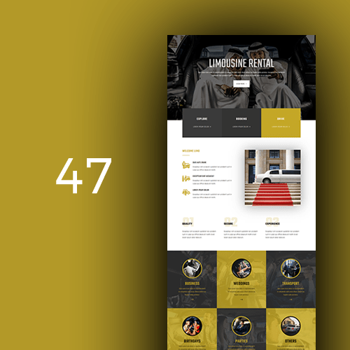 limousine-rental-01-308